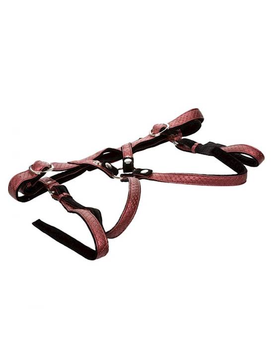 The Regal Duchess Premium Harness