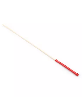Thick Discipline Cane