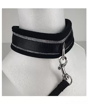 Spartacus Collar amp Leash  Neoprene Silver
