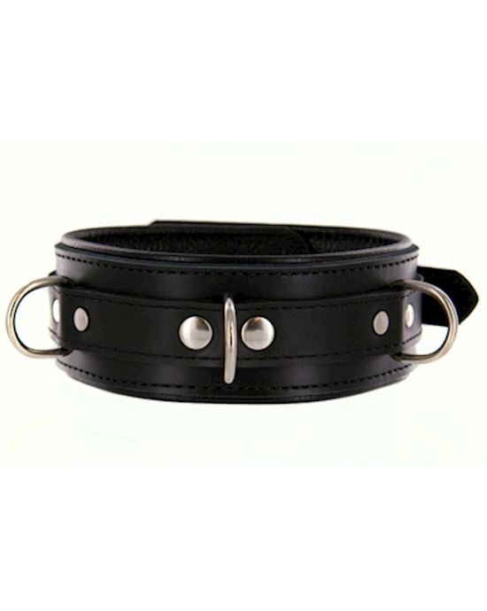 Strict Leather Premium Locking Collar