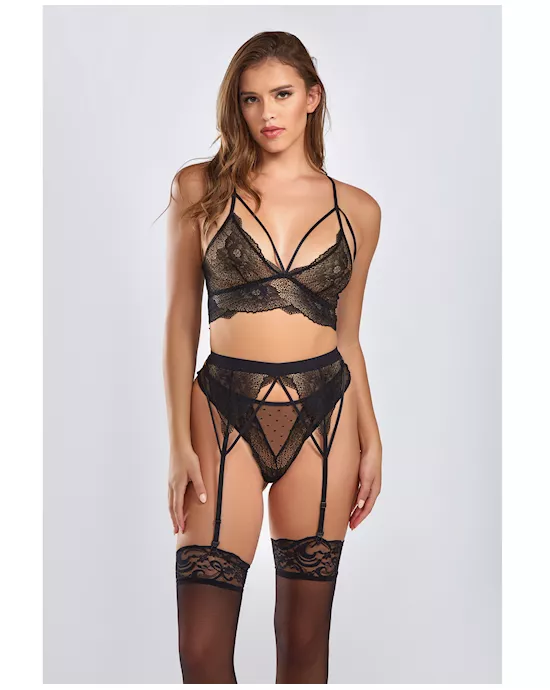 Everly Dot Mesh & Galloon Lace Strappy Bra, Garterbelt & Hipster Panty Black LG